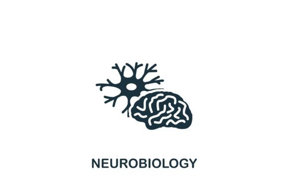 Neurobiology Graphics for Modern Branding