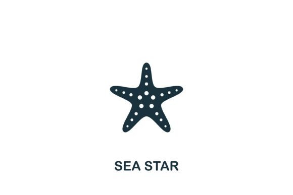 Sea Star Graphics for Handmade Creators
