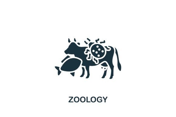 Zoology Graphics for Modern Web Design